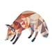 trifox . print
