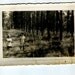 Beetlejuice Girl - vintage photo collage