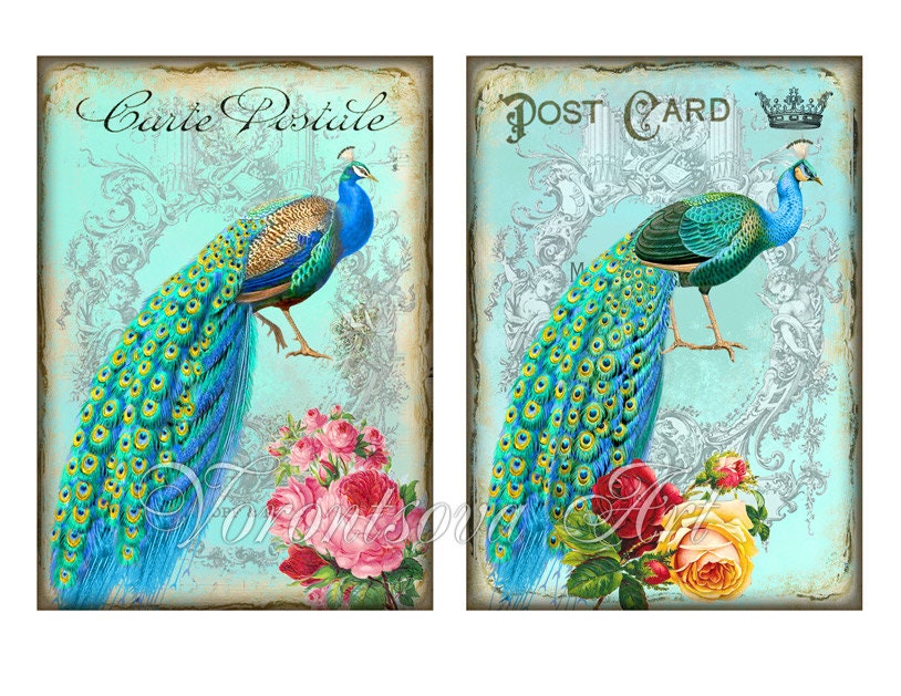 VINTAGE PEACOCK - Digital Collage Sheet. Set of 4 cards. Jewelry holders. Printable Download Images v4735