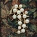 Framed Vintage Jewelry Art on Tapestry - In the Garden