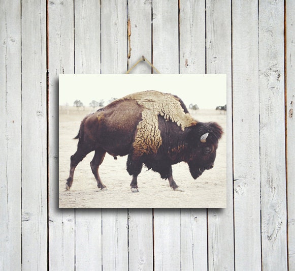 Bison - 16x20 buffalo print - brown home decor - buffalo - bison - rustic decor - brown decor - buffalo decor - western decor
