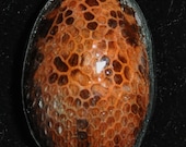 Dragon Hide Pendant- Eastern Diamond Back Head Shed RARE