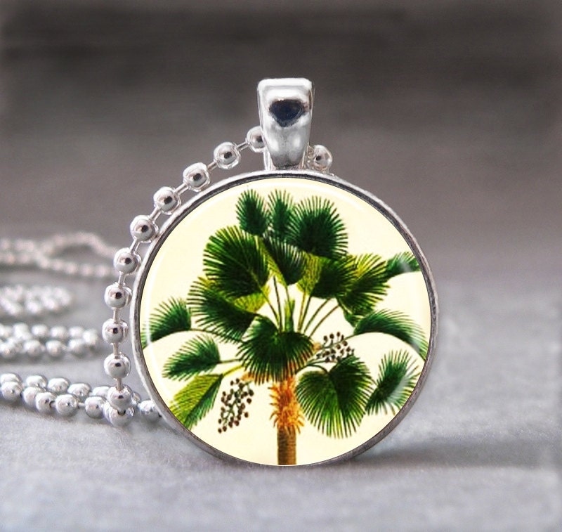 Palm Tree, Altered Art Pendant, Photo Pendant, Glass Dome Pendant with Ball Chain - no. 084-16