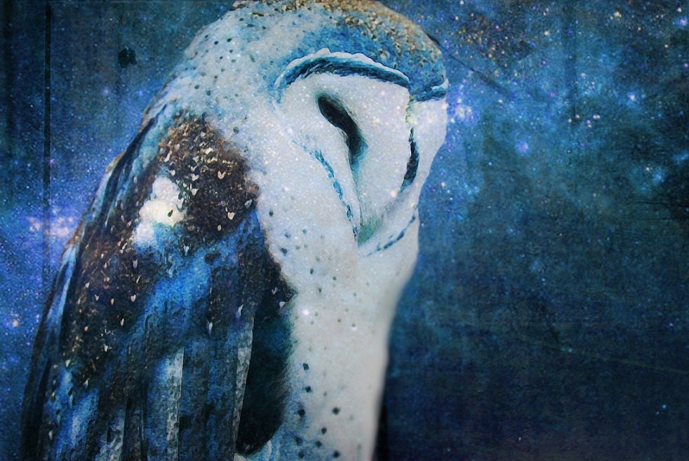 Owls of Winter, Poster size, blue, celestial, night sky, mystical, owl art, tara richelle - TarasArtHouse