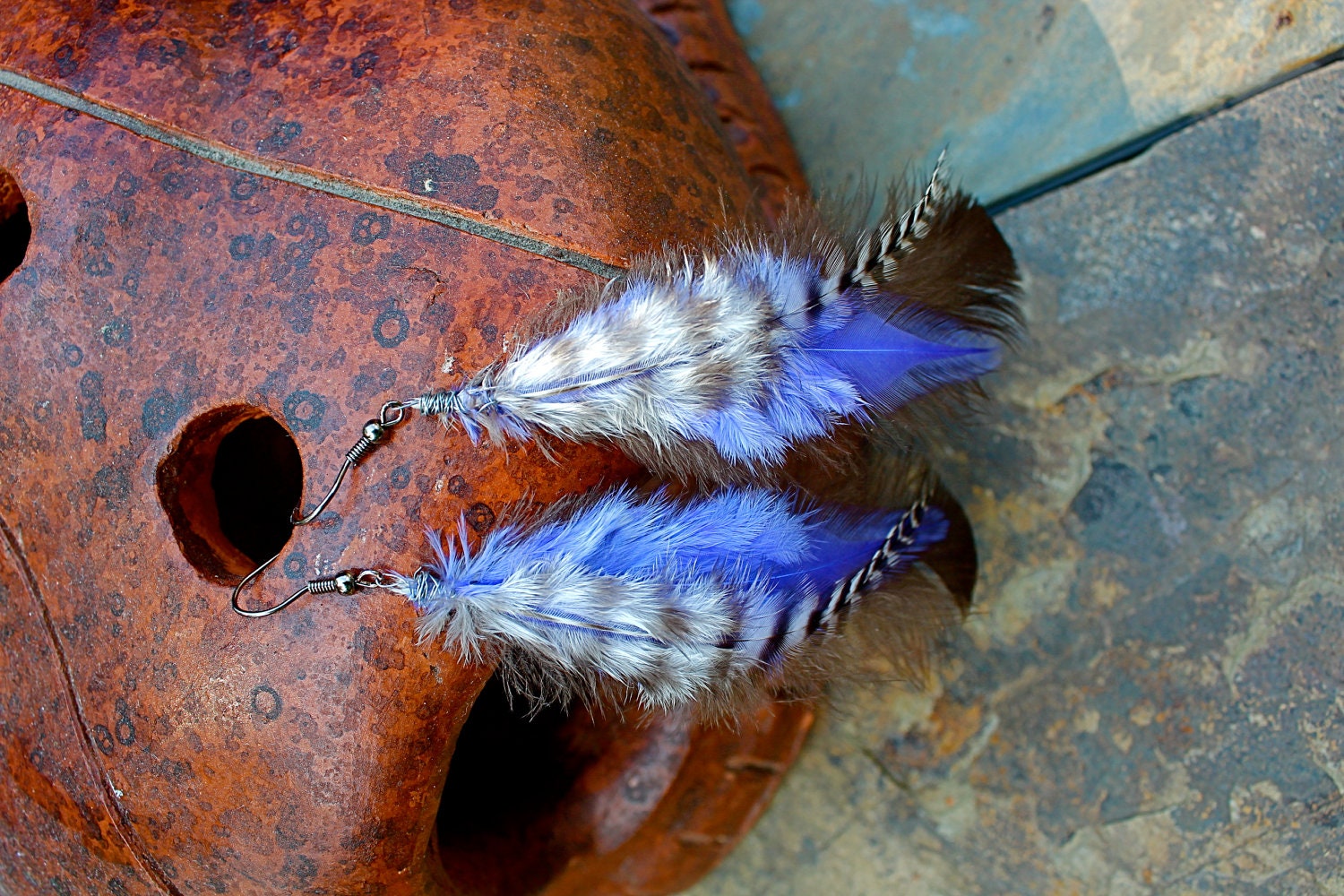 REAL feather earrings- Black/White striped and Purple - Boho, Dangle, Hippie, Nature Chic