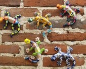 Gecko Wall - Todos Santos, Mexico (5x7 photo matted for 8x10 frame)