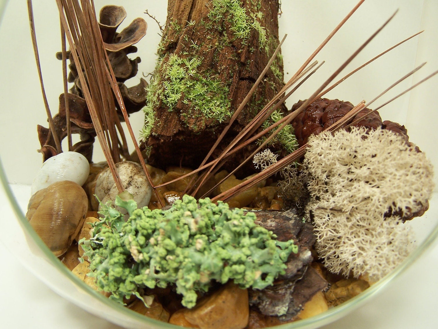 DIY project Miniature Woodland scene  terrarium container gardening glass Wedding centerpieces  Lichens L