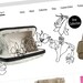 Custom Web Design - Wordpress Website
