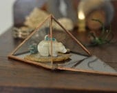 Pyramid Display Box - large glass pyramid - jewelry box - hinged - silver or copper - eco friendly