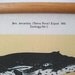 Mini Printed Fabric Vintage Style School Science Chart with Wood Trim - Whale (11" x 9")