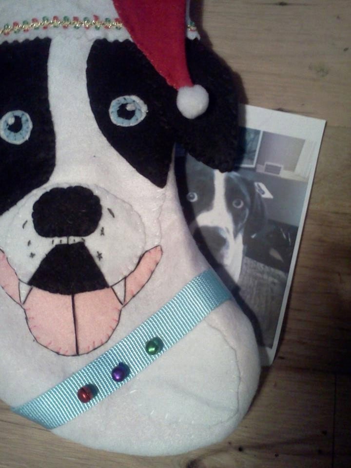 Your Dog or Cat on a Christmas Stocking Whimsical