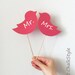 Set of Two Love Birds Pink Chalkboard Cake Topper or Photo Booth Props on a Stick