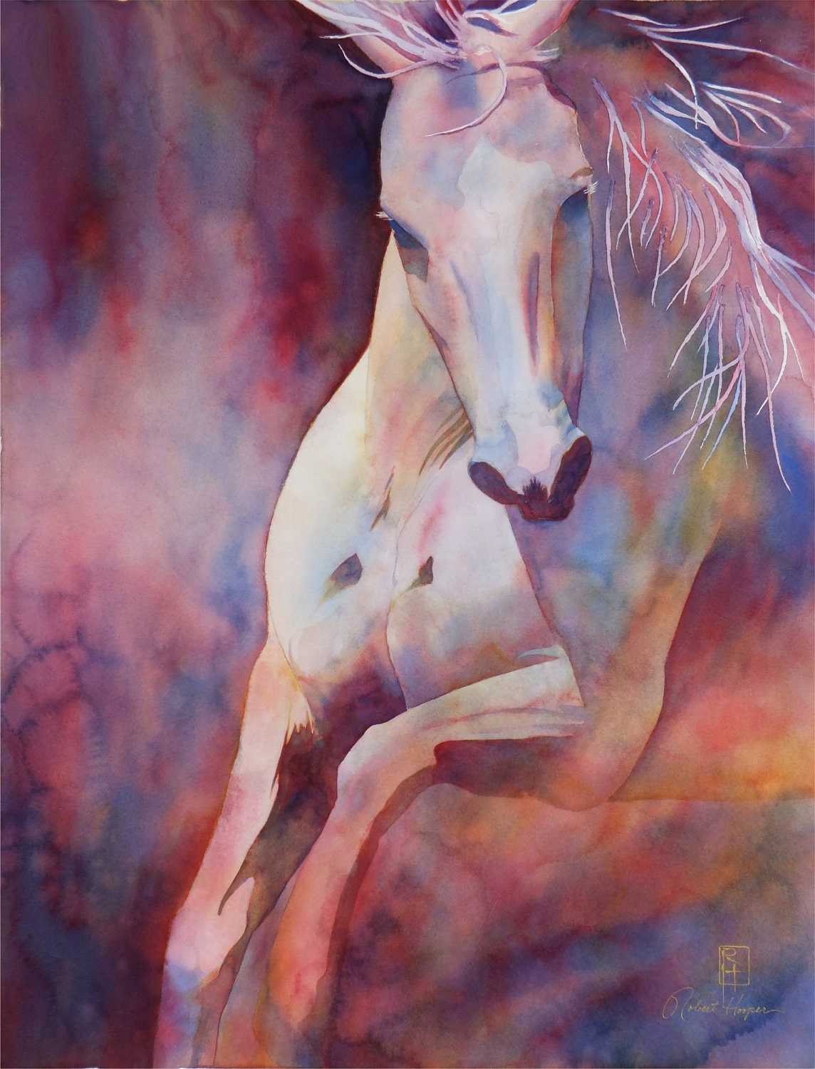 Limited Edition Watercolor Print "KANTHAKA"