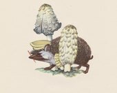 Blank Greeting Card - Hedgehog with pencil