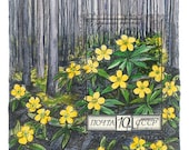 Limited Edition Print: USSR Yellow Anemone Wildflower Postage Stamp Painting
