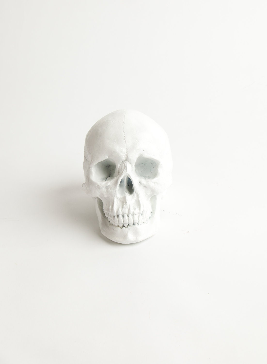 RESERVED for Casey - The Wiloughby - White Faux Human Head - Resin Skeleton - Sugar Skull Like