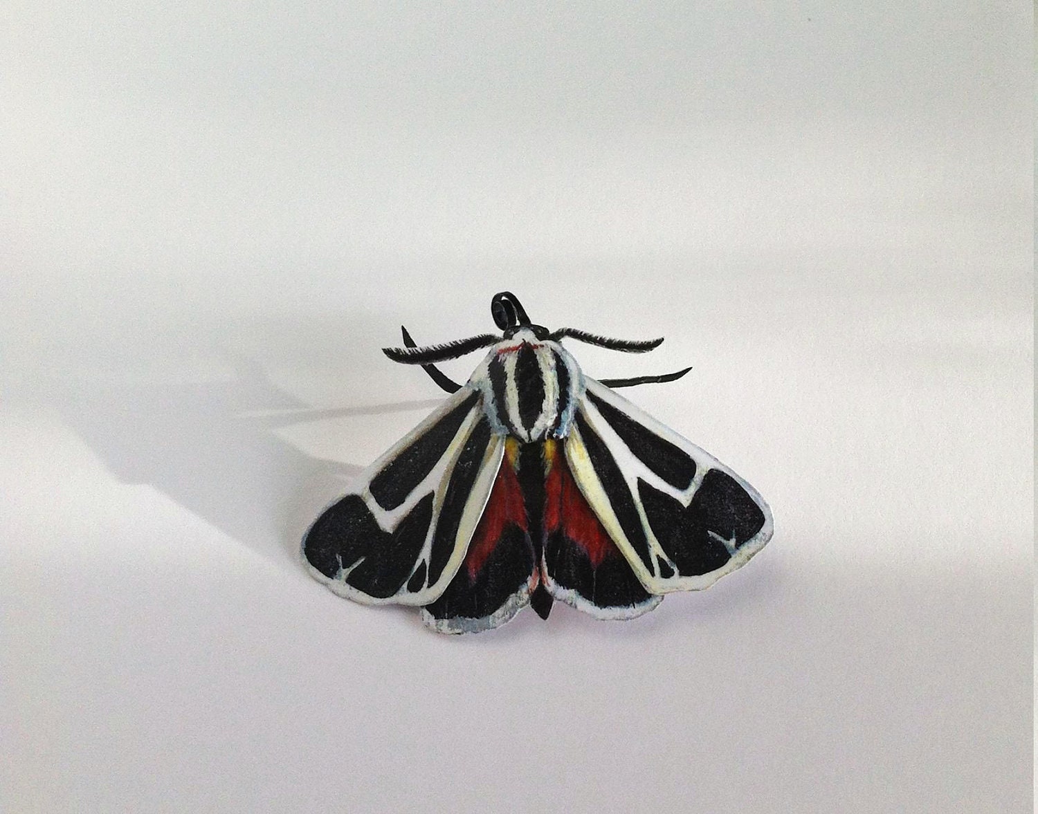 Nais Tiger Moth (Apantesis nais) Brooch Pin Ornament Decoration paper-model Lepidoptera Tralala