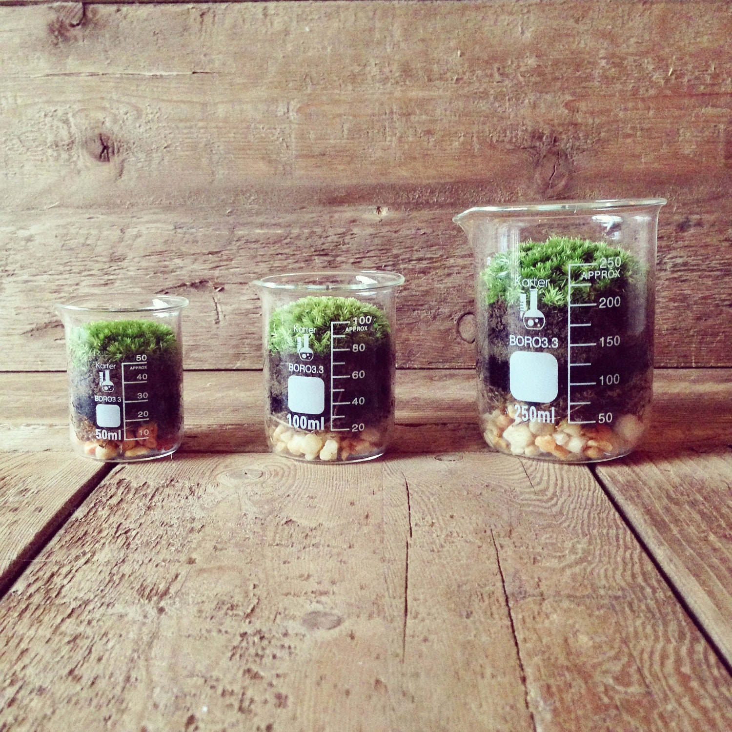 Gift for Men & Women // Moss Terrarium - Science Home Decor - Office Decor - Wedding Favors - Mother's Day (100ml)