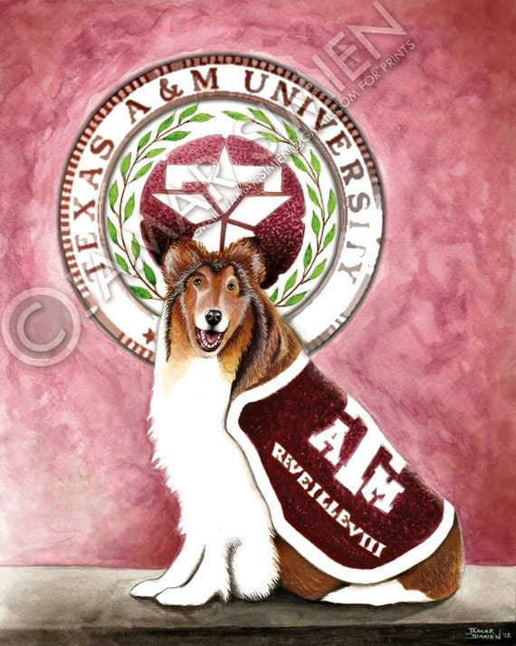 Reveille IX possibly starting a new tradition at A&M