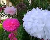 5 Tissue Paper Pom Poms - 1 Large, 2 Medium & 2 Small