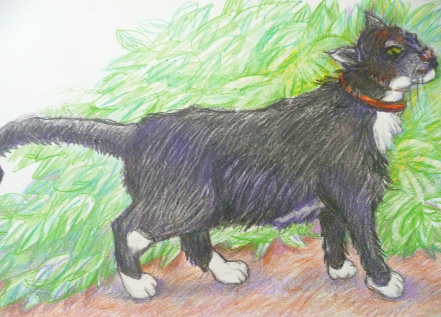 ORIGINAL Drawing Tuxedo Cat in Colored Pencil, Tuxedo Cat, Original Drawing, Animal Drawings, Pet Art