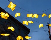Language of the Birds Light Installation City Lights Bookstore North Beach San Francisco Fine Art Photograph 5x7 or larger