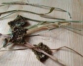 Bouncing Bananas: Organic Rabbit Treats