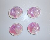 Pink Glass Shell Print Magnets, Round, Set of 4