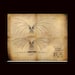 Davinci's Wings - Steampunk Blueprints