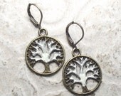 pAinTed WhiTe TrEe eARriNgs, bRonZe fAmiLy tRee JewELry