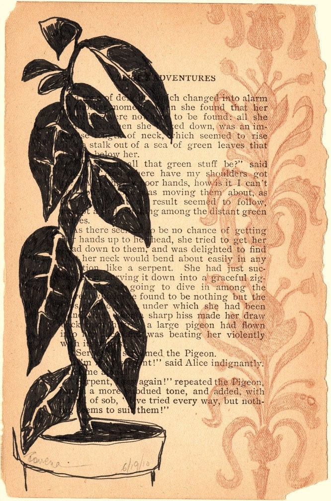 Herbal, or Botanical Prayer, giclee print of an ink and colored pencil drawing, by Rowena Murillo 2/50