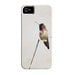 SALE Bird iPhone Case, Hummingbird iPhone 5 Case, Bird iPhone 4 Case,  Neutral, Beige, Tan, Brid Lover,  Bird iPhone Case