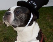 Upcycled Steampunk Dog Clothing, Dog Groom Costume, Black Top Hat and White Bow Tie, Halloween, Couture Pet Costume