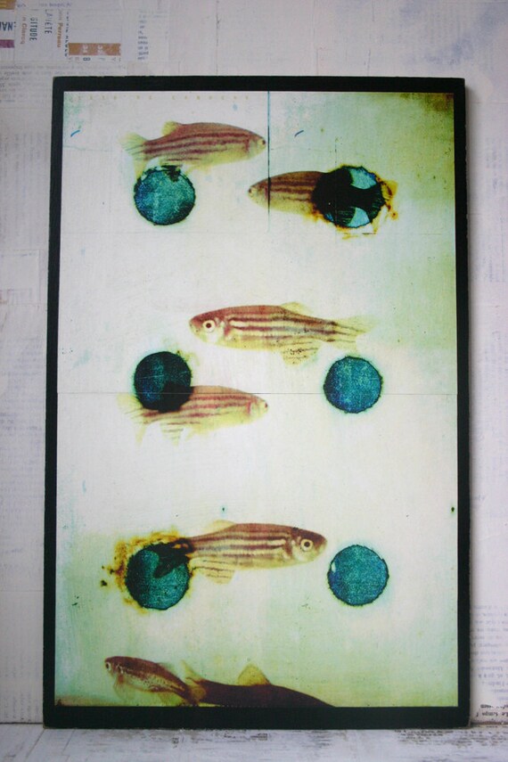 affiche / poster / sur masonite / 018 / impression numérique / art print / art graphique