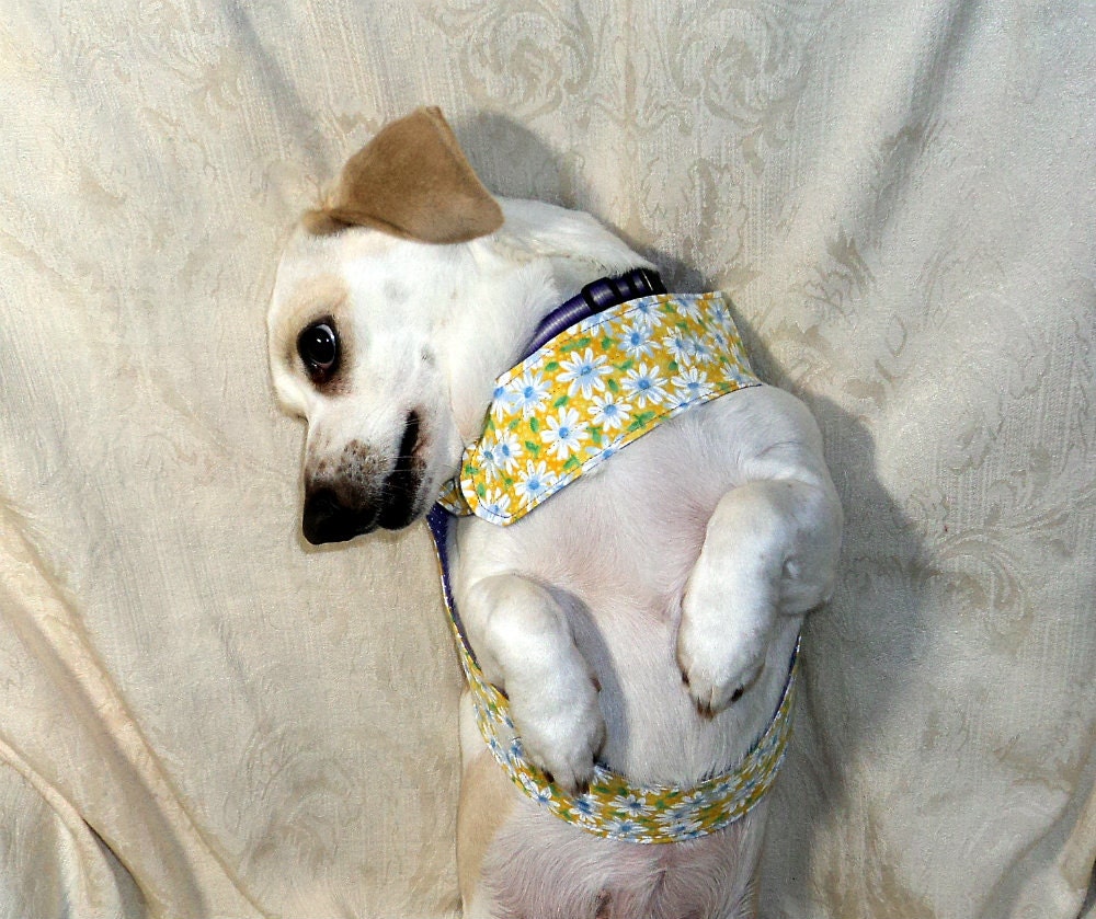 Small dog harness vest reversible adjustable handmade pets clothing yellow daisies purple polka dots