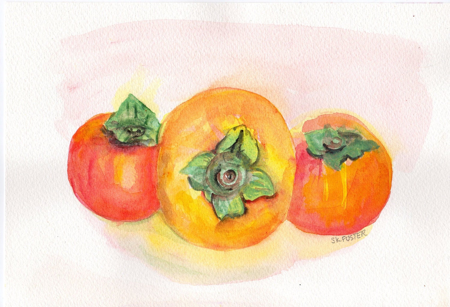 Original Persimmons Still Life original painting watercolor