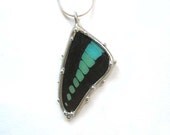 Graphium  Real Butterfly Necklace