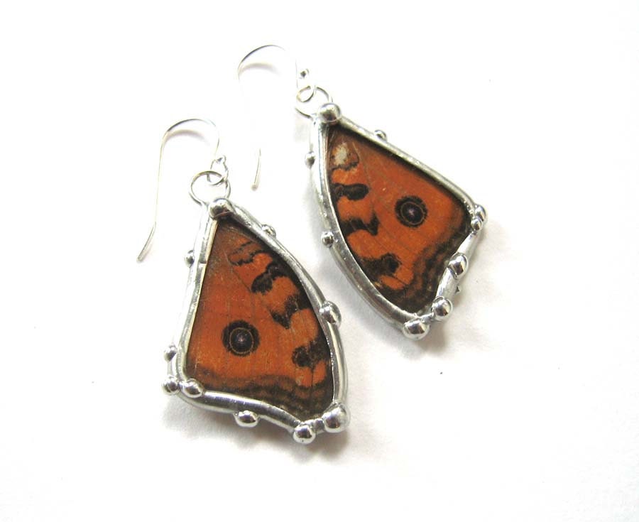Real Buckeye Butterfly Dangle Earrings