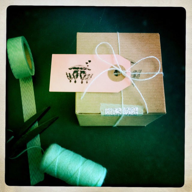 air plant // gift wrap