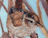 Marsh Wren Waiting oil painting by Andrew Daniel