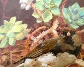 Cat Bird and Succulents painting by Andrew Daniel