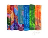 Ideal Bookshelf 455: Harry Potter (8x10" print)