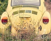Fine Art Photograph, Vintage Yellow VW Beetle, Love Bug, Wildflowers, Boho, Whimsical Art, Hippie, 1960s, Retro Art, 11x14 Print