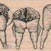 Bending butts old ladies bent swimsuit rubber stamps wood mounted 17663