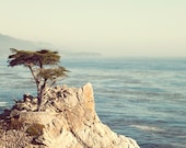 Lone Cypress Tree Photograph, Monterey, Carmel, California, Sea, Nautical, Ocean, Summer, Nature Photography, Blue, West Coast - 17 Miles