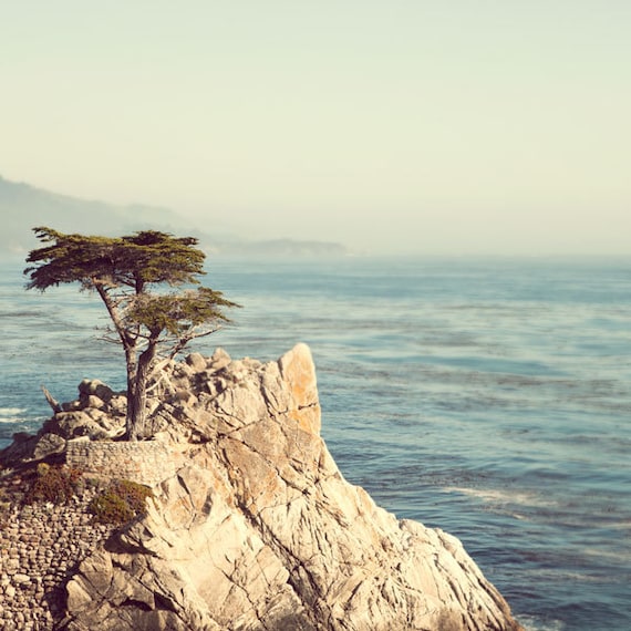 Lone Cypress Tree Photograph, Monterey, Carmel, California, Sea, Nautical, Ocean, Summer, Nature Photography, Blue, West Coast - 17 Miles