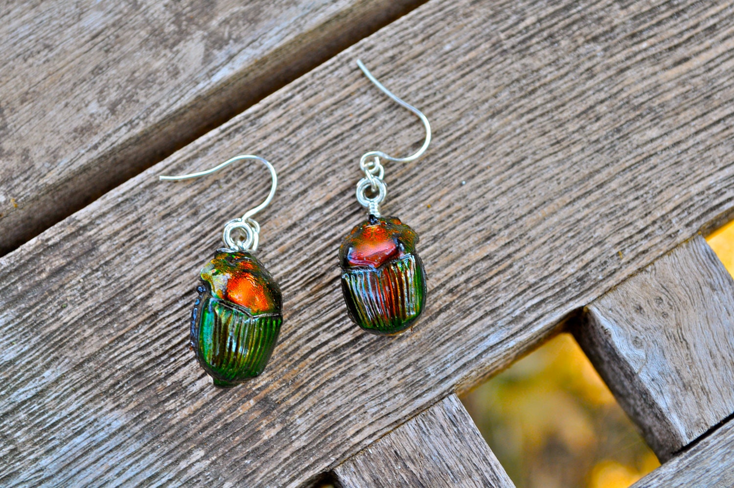 Floating Real Scarab Beetle Earrings Phanaeus igneus similar to Moonrise Kingdom