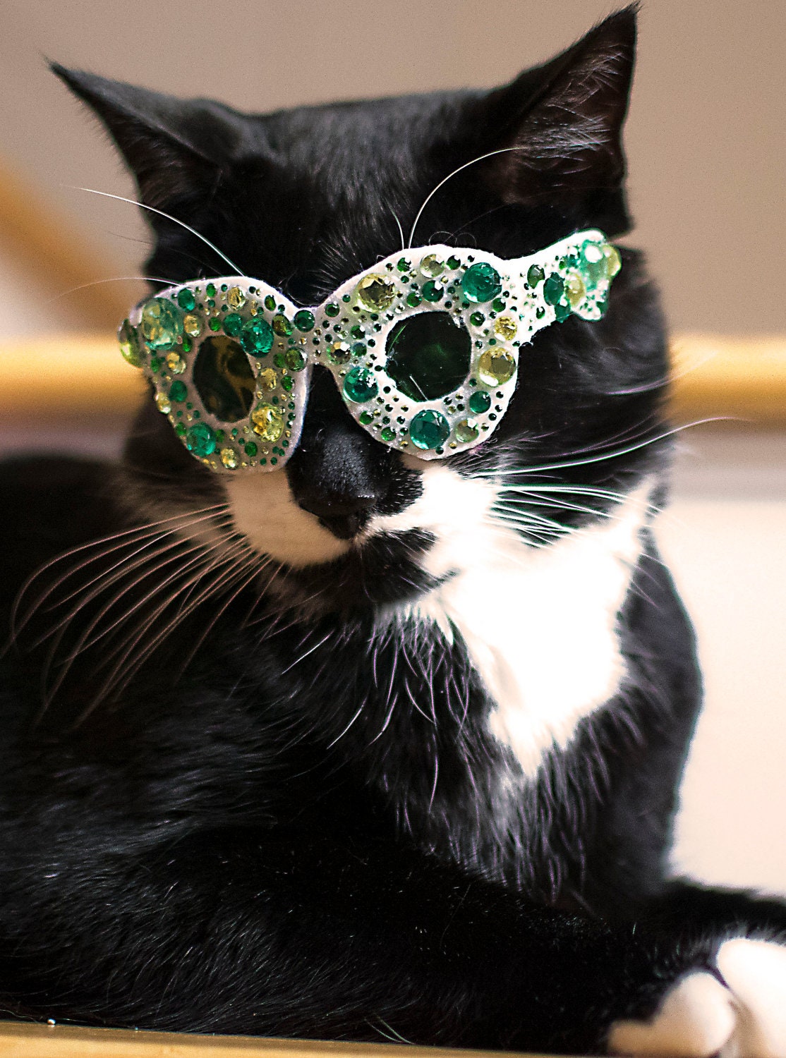 St. Patrick's Day Glasses for Cats / Green Bling Shades for Kitty