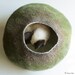 Cat Nap Cocoon / Cave / Bed / House / Vessel - Hand Felted Wool - Crisp Contemporary Design - READY TO SHIP Green Bubble