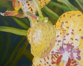 Original Oil Painting on Canvas, Orchid series No 4, botanical garden art, colorful art